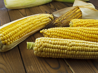 ripe corn