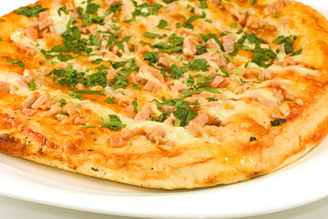 Isolated image of delicious pizza closeup