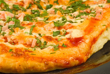 Isolated image of delicious pizza close-up