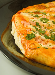 Isolated image of delicious pizza close-up