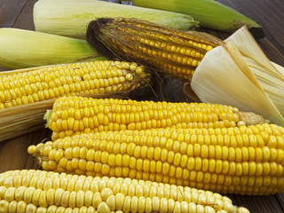 ripe corn