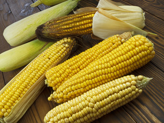 ripe corn