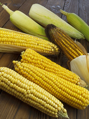 ripe corn