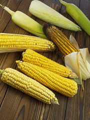 ripe corn