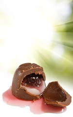 Isolated image of delicious chocolates with a cherry on a green background