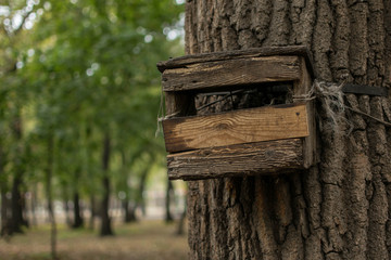 Wooden feeding trough for animals and birds on the tree