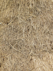 straw