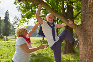 Alter Mann klettert auf Baum im Park