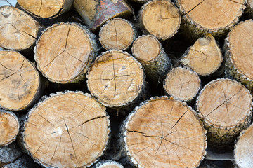  firewood logs in a pile