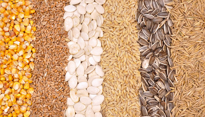 Cereals and seeds