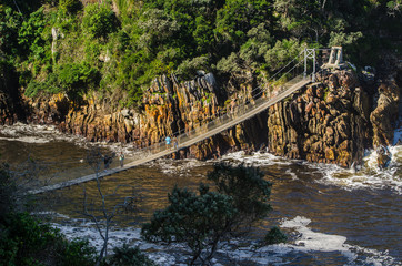 Ponte, ponte sospeso, Tsitsikamma, Tsitsikamma National Park - Sudafrica