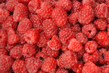 Raspberry as a background