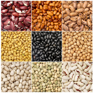 Collection of beans