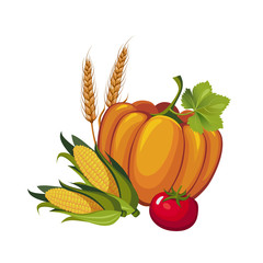Harvest Pumpkin, Stalks and Tomato, Vector