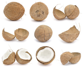 Coconut collection