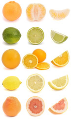 Citrus fruit compilation