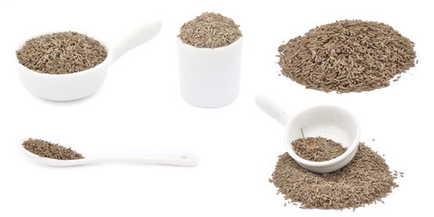 Caraway. Spice set.
