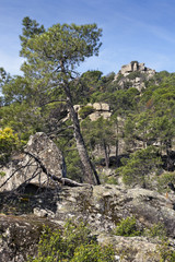 Granito en Valdelavieja. Madrid