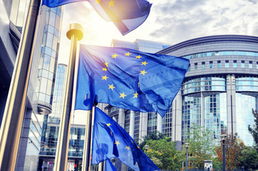 Fototapeta EU flags waving in front of European Parliament building in Brus obraz
