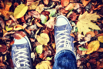 Teenager in autumn park - 94576446