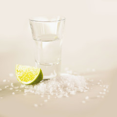 Tequila in a shot glass with fresh sliced lime and salt.