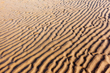 Ridges on a Sandy Beach