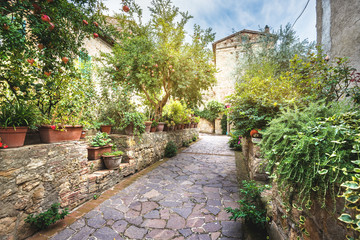 Italian garden in the village in the old Tuscany