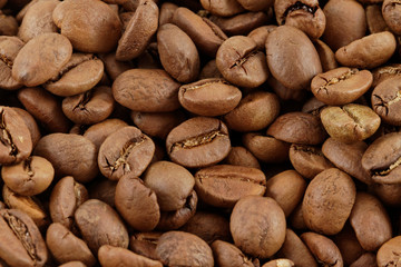 Coffee Bean Background