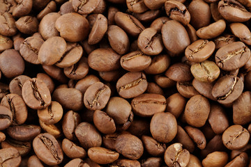Coffee Bean Background