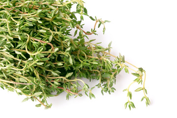 thyme isolated on white background chabrets