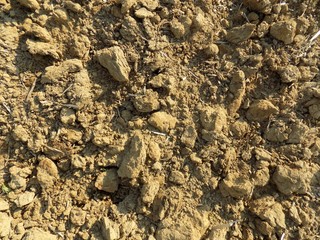 Soil texture