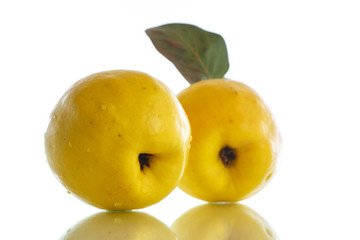 natural organic ripe quince