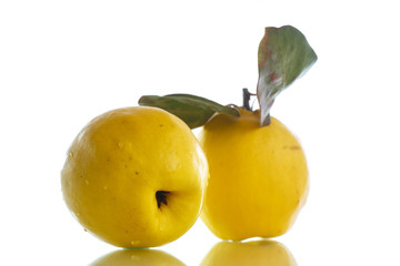 natural organic ripe quince
