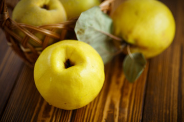 natural organic ripe quince