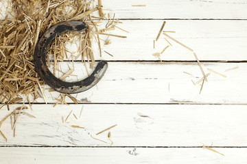Horseshoe and hay on rustic background
