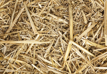 Dry straw background
