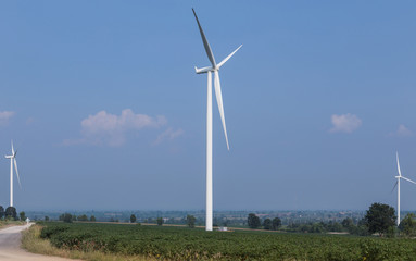 Fototapeta premium wind turbines generating electricity power from natural on cassava plantation