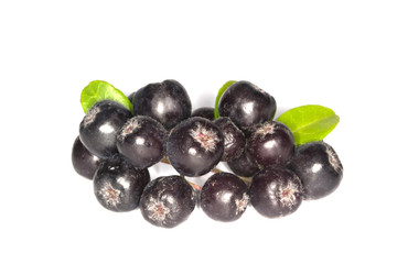 black ashberry isolated