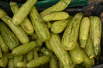 Zucchini