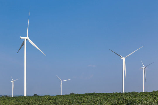 wind turbines generating electricity renewable energy   on cassava plantation 