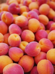 apricot market organic