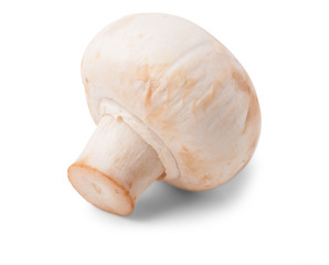 Mushrooms isolated on white