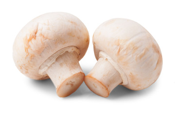Fototapeta na wymiar Mushrooms isolated on white