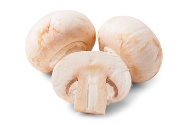 Mushrooms isolated on white