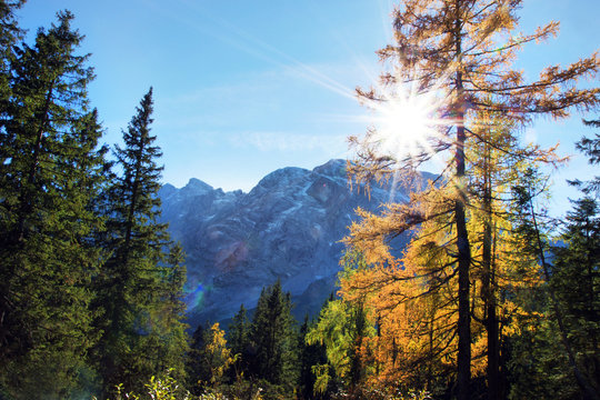 Sp&auml;therbst im Gebirge, Sonne mit L&auml;rchen und Bergen