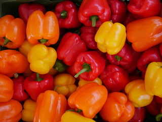 colorful bell peppers,