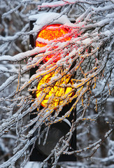 Frozen traffic lights