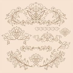 Hand drawn floral elements isolated on color background