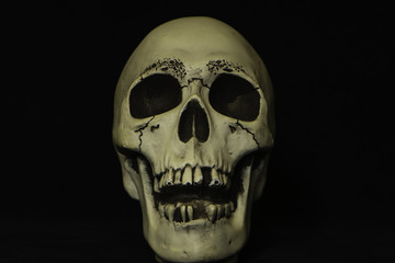 scary human looking skull on black background