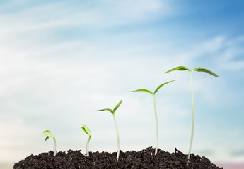 Grow.